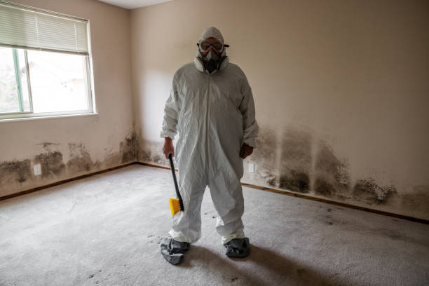 Best Asbestos and Lead Testing During Mold Inspection  in Dickinson, TX